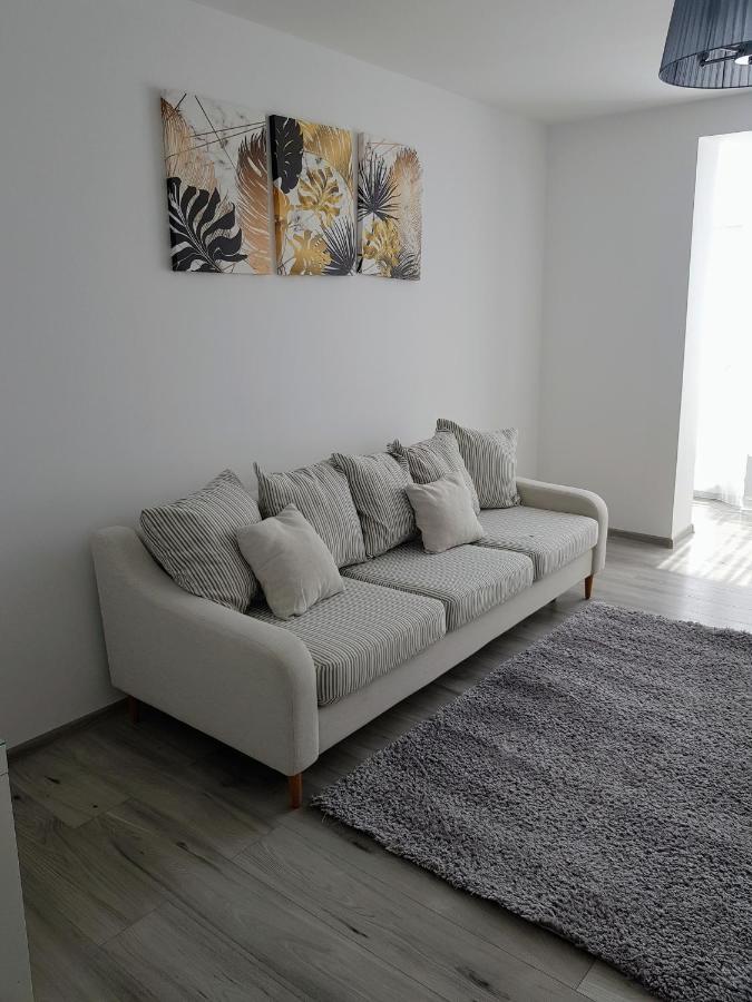 Ferienwohnung Alexa Apartament Târgu-Mureş Exterior foto