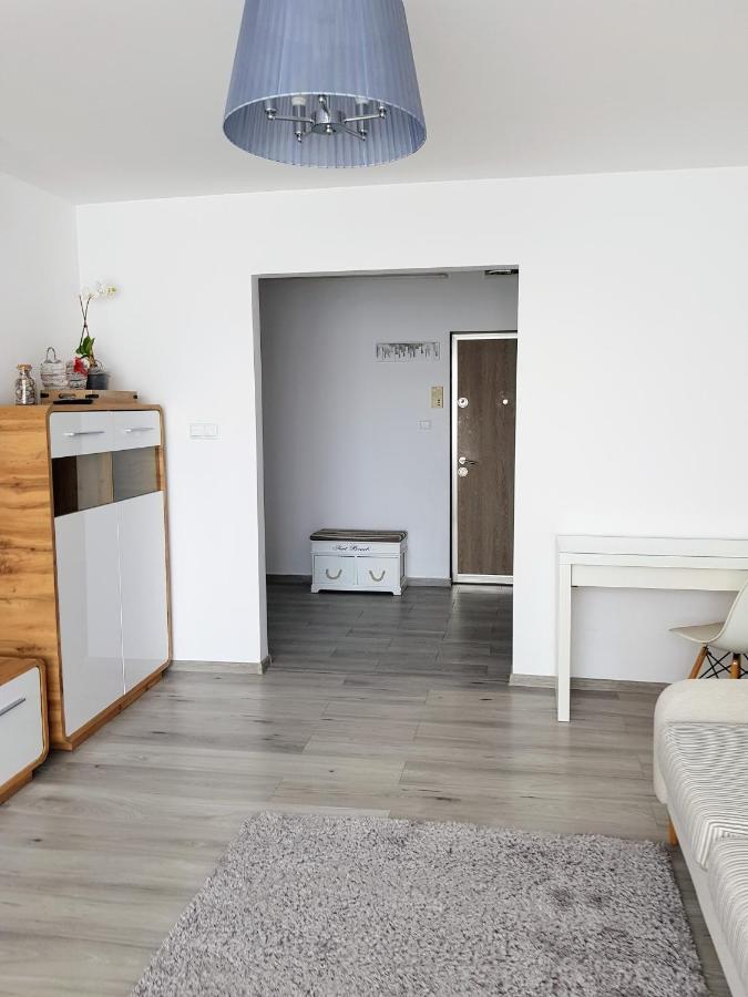 Ferienwohnung Alexa Apartament Târgu-Mureş Exterior foto